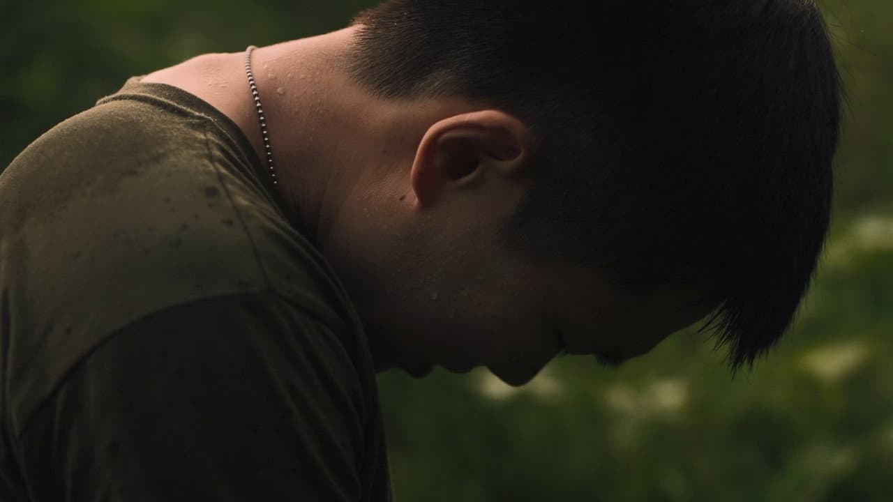 Quiet Fires