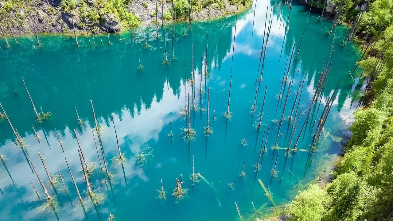 Saving paradise