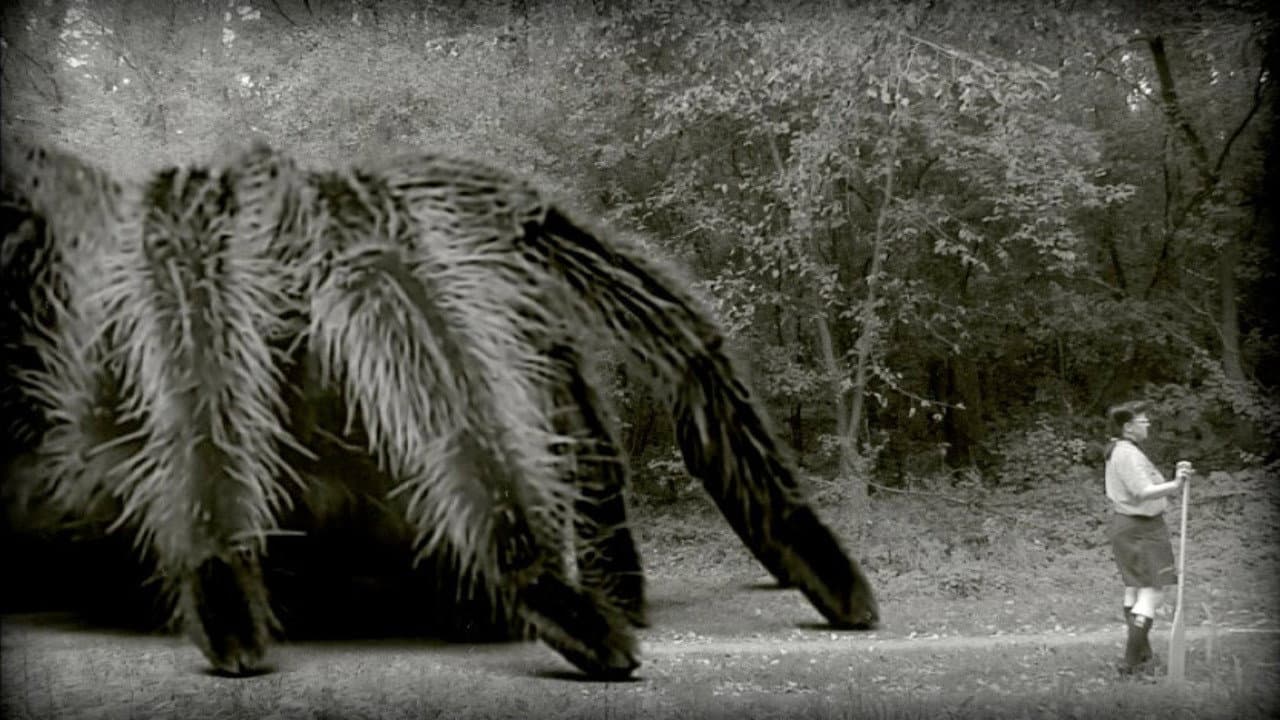 The Giant Spider