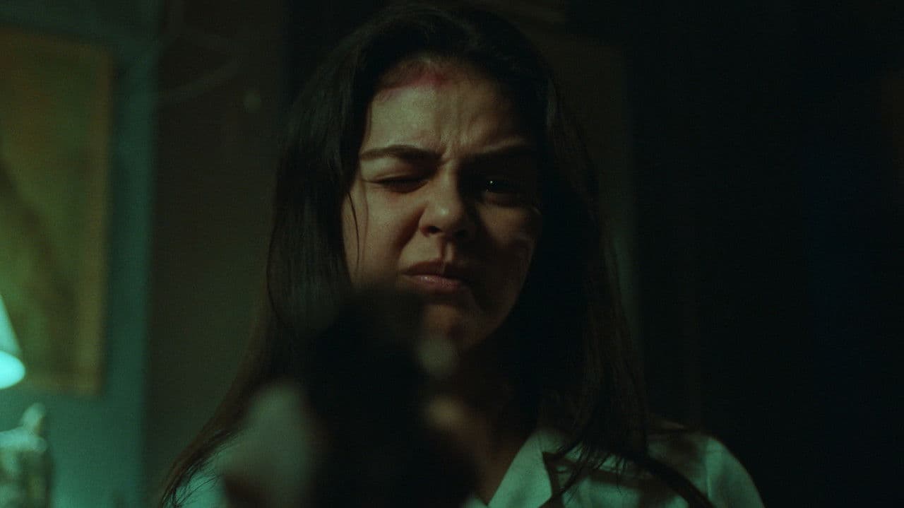 The Woman and the Gun