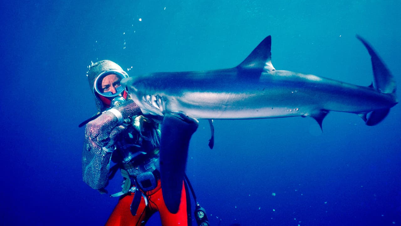 Playing With Sharks: The Valerie Taylor Story