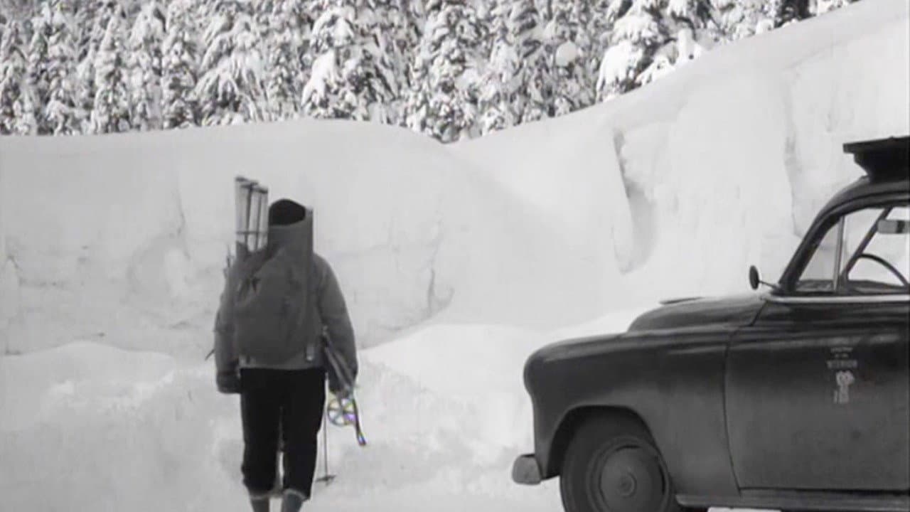 White Peril