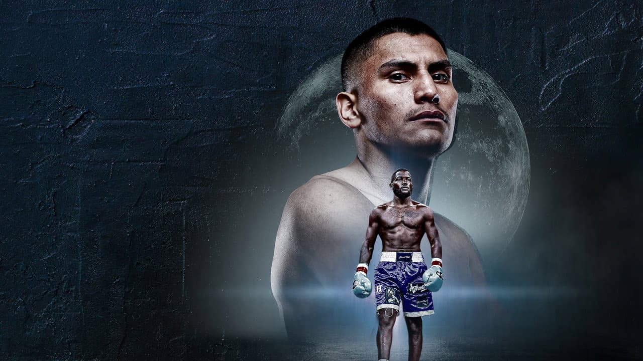 Vergil Ortiz Jr vs. Erickson Lubin