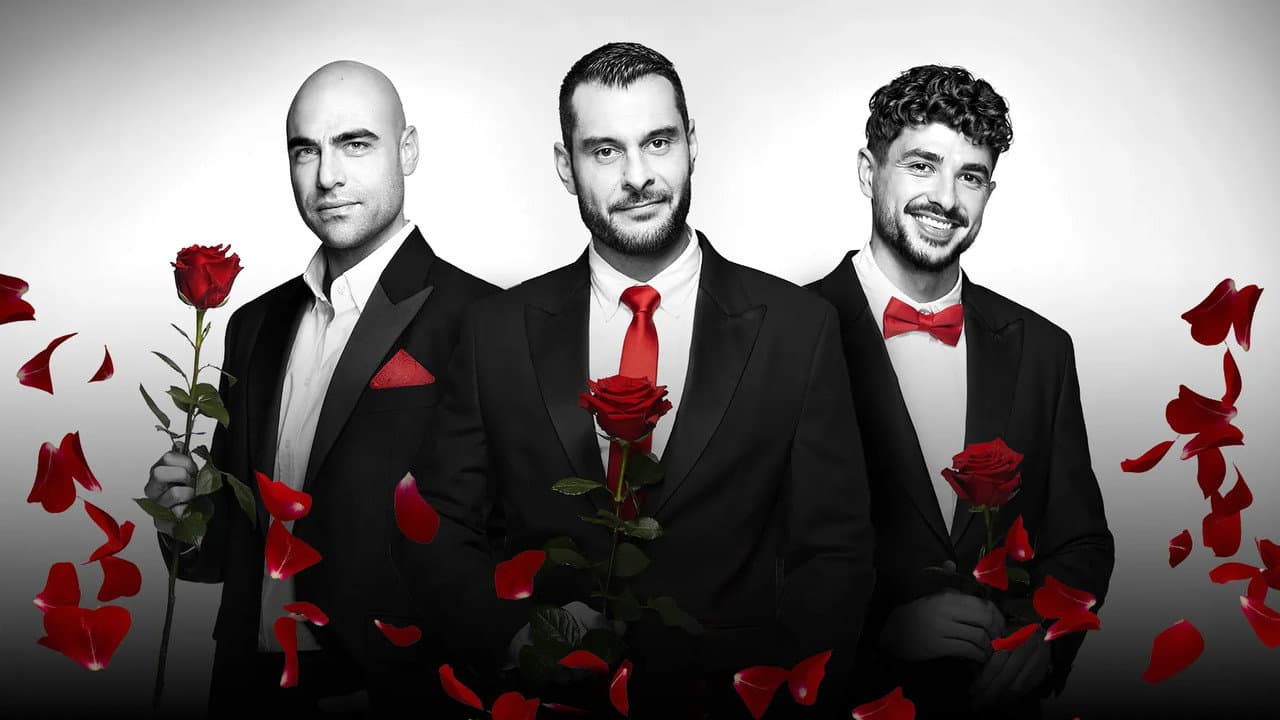 The Bachelor (BG)