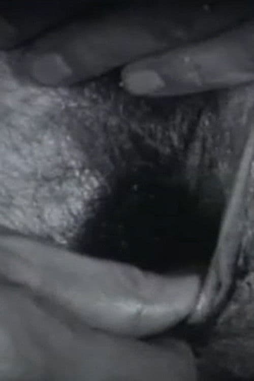 Black Balls