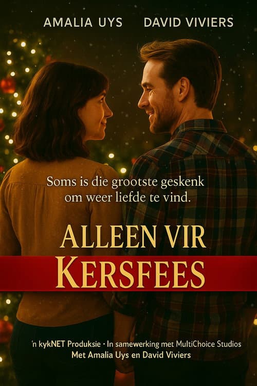 Alleen vir Kersfees