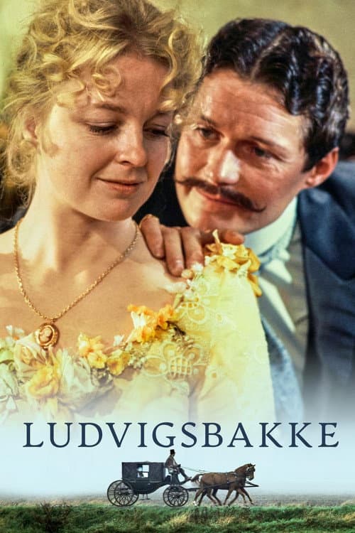 Ludvigsbakke