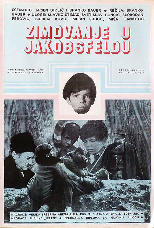 Wintering in Jakobsfeld